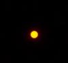 040-sun_thru_shades.jpg