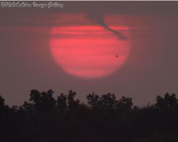 bmaa-Venus_Transit.jpg