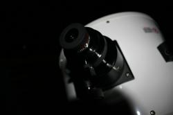 Meade_Dob_6.jpg