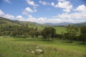 viewfromhill_(Medium).JPG
