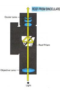 Figure_9_-_Roof_Prism_design.jpg