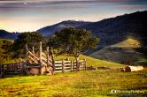 cattle-ramp-1-1200px.jpg