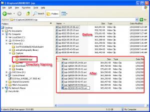 file-naming2.jpg