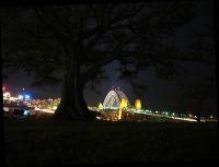 bridge+tree1.jpg