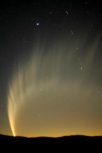 magellan_Zane_McNaght-200107.jpg