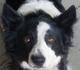 Cloudy's Avatar