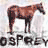 Osprey's Avatar