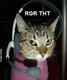 rgrtht's Avatar